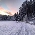 Waldchalet Am Eichhof 샬레 *