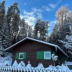 Waldchalet Am Eichhof Chalet