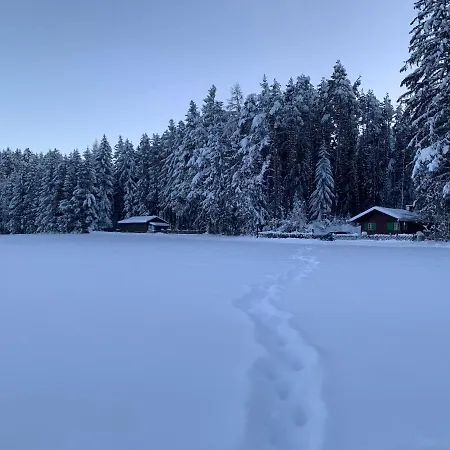 Waldchalet Am Eichhof Dağ evi