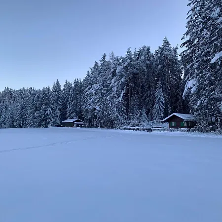 Waldchalet Am Eichhof İnnsbruck