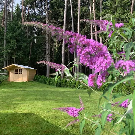 Waldchalet Am Eichhof Dağ evi İnnsbruck