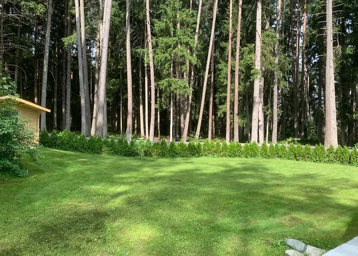 Waldchalet Am Eichhof 木屋 因斯布鲁克