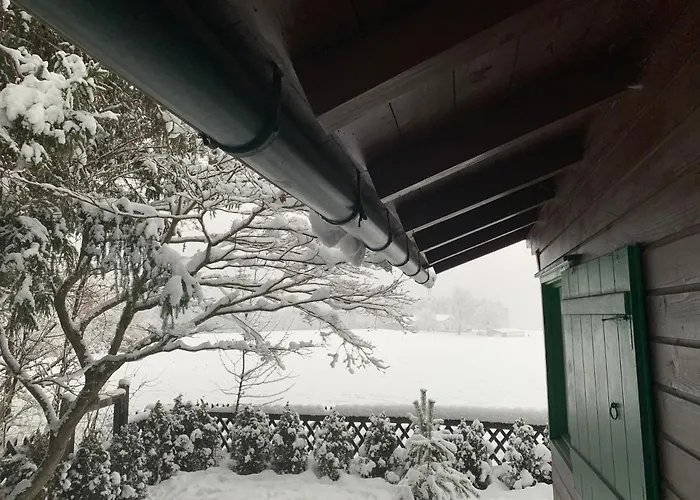 Waldchalet Am Eichhof Chalet