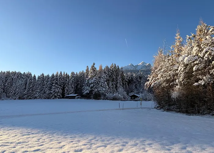 Waldchalet Am Eichhof Domek alpejski *